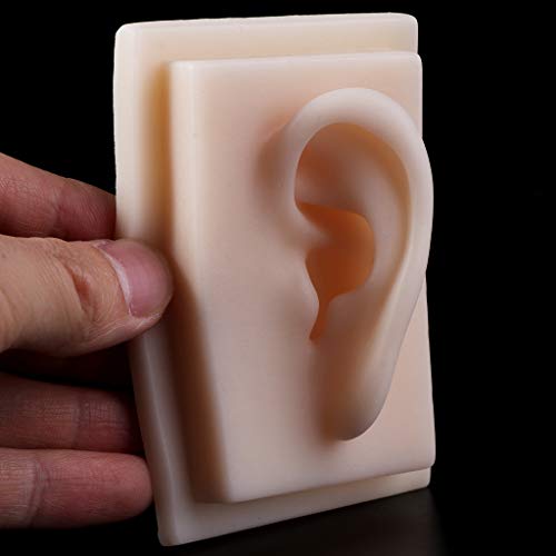 image for GUSENG Human Soft Silicone Left Ear Model Life Size Acupuncture Study 