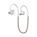 Altec Lansing NJEP-1-RG Nick Jonas Collaboration in-Ear Bluetooth Earphones, Rose Gold