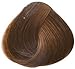 Goldwell Topchic Hair Color Coloration (Tube) 6G Tobacco