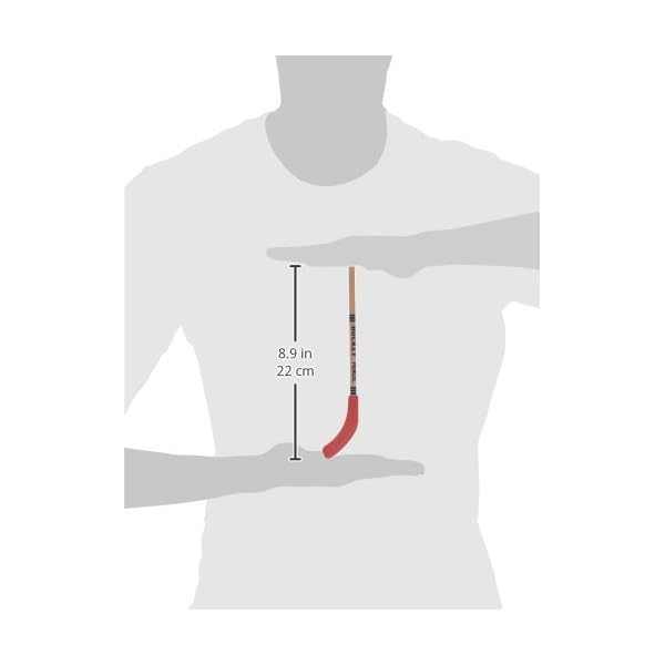 Hockey Pencils 24 per pack