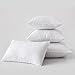 MIULEE Pack of 2 Premium Hypoallergenic Pillow Insert Sham Form Polyester for Sofa Bed 12x20 Inch 30x50 cm White