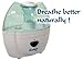 Salt Therpy Ultrasonic Salinizer For Chronic Respiratory Diseases