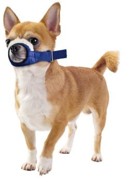 chihuahua muzzle amazon