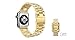 HUANLONG Compatible with Apple Watch Band, Solid Stainless Steel Metal Replacement Watchband Bracelet with Compatible with iWatch Series 1/2/3/4(Gold3 42mm)