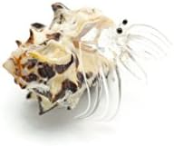 PertidHandcrafted Natural Seashell Creative Hermit Crab Mini With Shell Wreaths,Add Colorful Accent To Basket Of Beach Shells Metal Wall Art Features Festive Designs For Every Style No.08