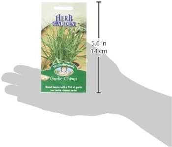 Mr Fothergill's 10464 Herb Seeds, Garlic Chives, Cream, Green - Image 5