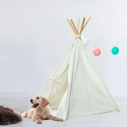 tipi dog house