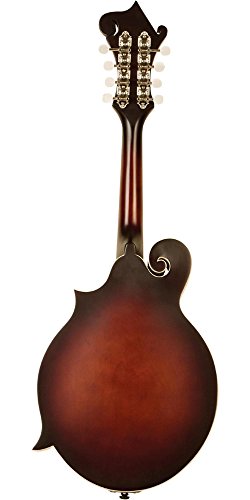 3 Loar+LM+310F+BRB+Honey+F+Style+Mandolin