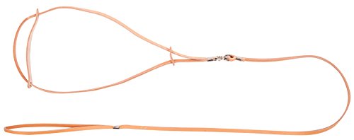 Dingo Smart Fashion for Champion, Leather Show Leash, Natural Lead for Exhibition and Dog Ring Show 10701