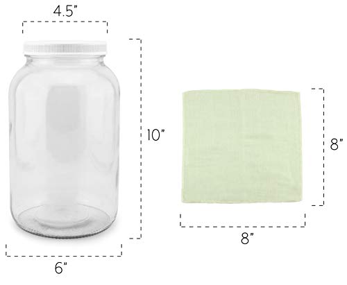 3 Gallon+Kombucha+Plastic+Storage+Brewing