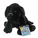 Webkinz Black Labrador Retriever Dog