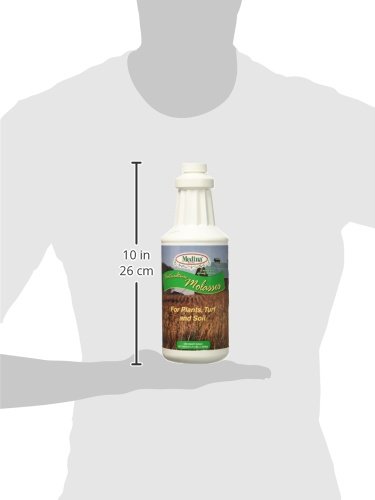 Medina Medium Molasses, 1 quart - Thumbnail 2