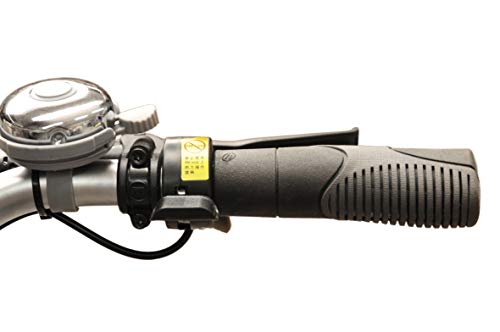 Wild Eagle Dreirad Elektro ECO 26/24" Ansmann-Motor - Made in Germany – Bild 8