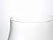 Luigi Bormioli Birrateque 18.25 oz IPA Beer Glasses (Set of 2) - Craft Beer Glasses for Double/Imperial IPA, English IPA, Laser-Cut Rims, Foam Control - Made in Italy, Dishwasher Safe