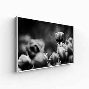 Canvas Wall Art for Living Room, Bedroom Monochrome Plants Framed Canvas Prints for Home Decoration Ready to Hang - 16x24 inches