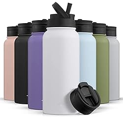 JoyJolt Triple Insulated Water Bottle with Straw