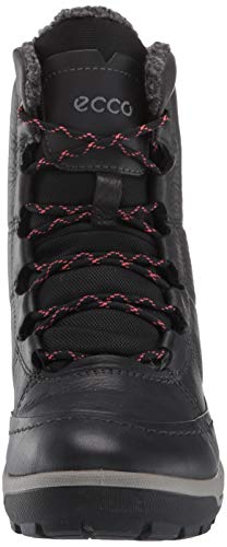 ecco trace lite