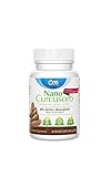 Nano Curcumin â€“ Powerful Natural Anti-inflammatory, Antioxidant, and Pain Reliever (30 veggie caps)