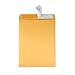 Quality Park 10 x 13 Catalog Envelopes with Self Seal Closure, 28 lb Brown Kraft, Great Option for Mailing, Storage and Organizing, 100 per Box (44762)
