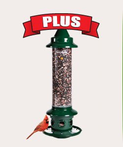 Brome 1024 Squirrel Buster Plus Wild Bird Feeder With Cardinal