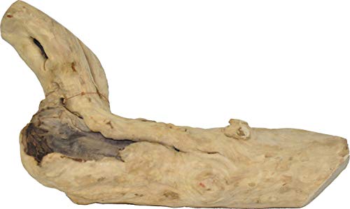 A&E CAGE COMPANY Java Wood Reptile Branch Natural Medium