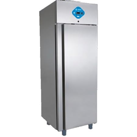 Armario Frigorífico Frigor nevera menos 2 Piu 8 rs3370: Amazon.es ...