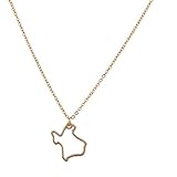 Lux Accessories Texas Pride State Outline Pendant Necklace