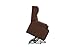 Divano Roma Furniture Power, Lift Chairs, Linen Living Room Reclining Armchair (Dark Brown)