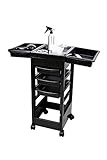 Salon SPA Beauty Hairdressing Rolling Trolley Cart