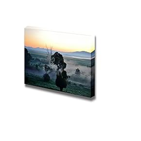 Canvas Prints Wall Art - Landscape with Blue Gum Trees in Fog at Sunrise | Modern Wall Decor/Home Decoration Stretched Gallery Canvas Wrap Giclee Print. Ready to Hang - 12" x 18"