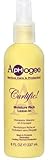 Aphogee Curlific Moisture Rich Leave-In, 8 oz