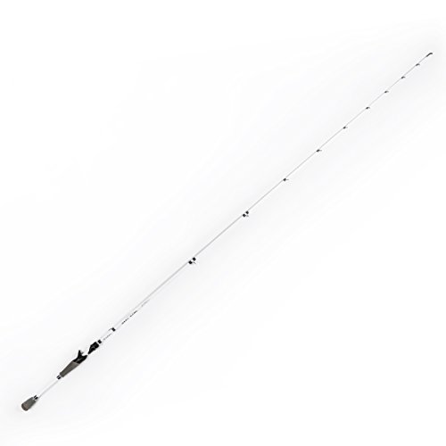 daiwa saltist 11ft Daiwa Daiwa Saltist MQ