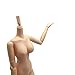 1/6 Scale Obitsu 10.6 inches Female Body 27BD-F06N PVC Bust M Size Natural Skin Color