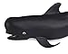 Safari Ltd. Pilot Whale Figurine - Lifelike 5.75