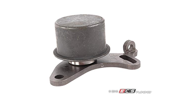 timing belt squealing