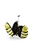 HEYS Kids 2Pc. Travel Tots (Bumble bee) Lightweight Luggage & Backpack Set