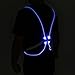 ThyWay Reflective Vest for Running or Cycling with Multicolored LED Fiber Optics (Women & Men & KIdsAdjustable, Lightweight, Weatherproof Gear for Jogging & Biking)