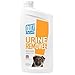 Out! Petcare Urine Remover 32 oz primary