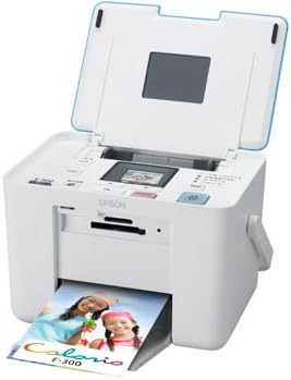 epson 300