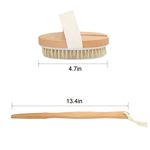 MAGGIFT Removable Natural Boar Bristle Long Handle Body Brush For Dry Skin Brushing, Remove Dead