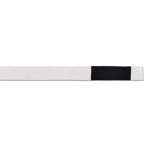Revgear a2 brazilian jiu jitsu martial arts belt, white