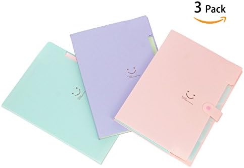 Expanding File Folder 1/5 Cut Tab Letter Size Organizer Office,Educational Supplies 3 Pack Pink/Purple/Green