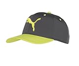 Puma Golf 2018 Men's Go Time Hat (Quiet Shade-Acid Lime, One Size)