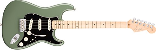 Fender american professional stratocaster - antique oli…