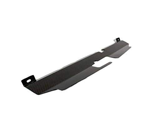 Deltalip Carbon Fiber Radiator Cooling Plate For Nissan Skyline GTR GT-R R32