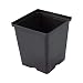 1 Gallon Square Black Plastic Nursey Plant Pots Holds 0.38 Gal (25 Pack) primary