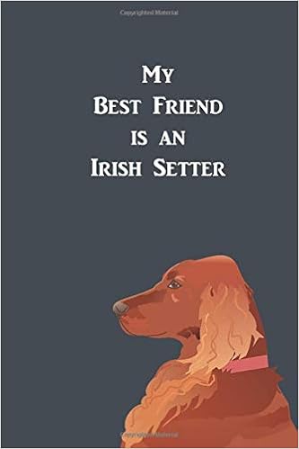 grey irish setter