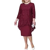 Women's 2 Piece Floral Lace Dress Set, 3/4 Sleeve Overlay Top & Short Sleeve Knee Length Pencil Dress for Formal Events