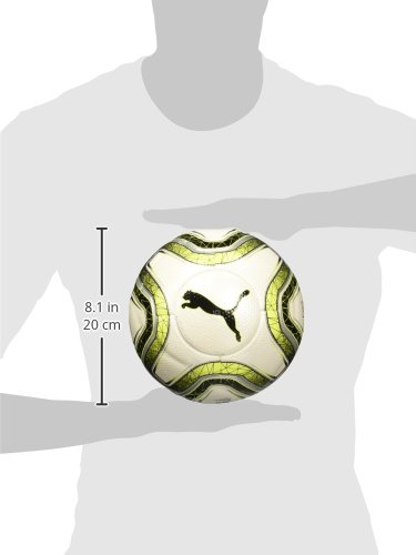 puma final 1 statement