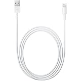 Apple MD818AM/A Lightning to USB Cable (1 m)